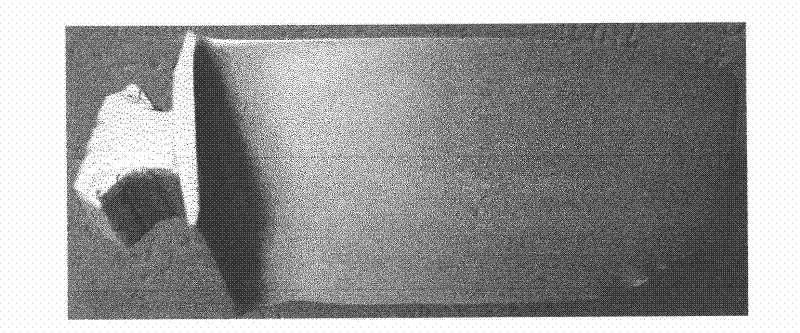 Method for judging metallurgical quality of titanium alloy blade