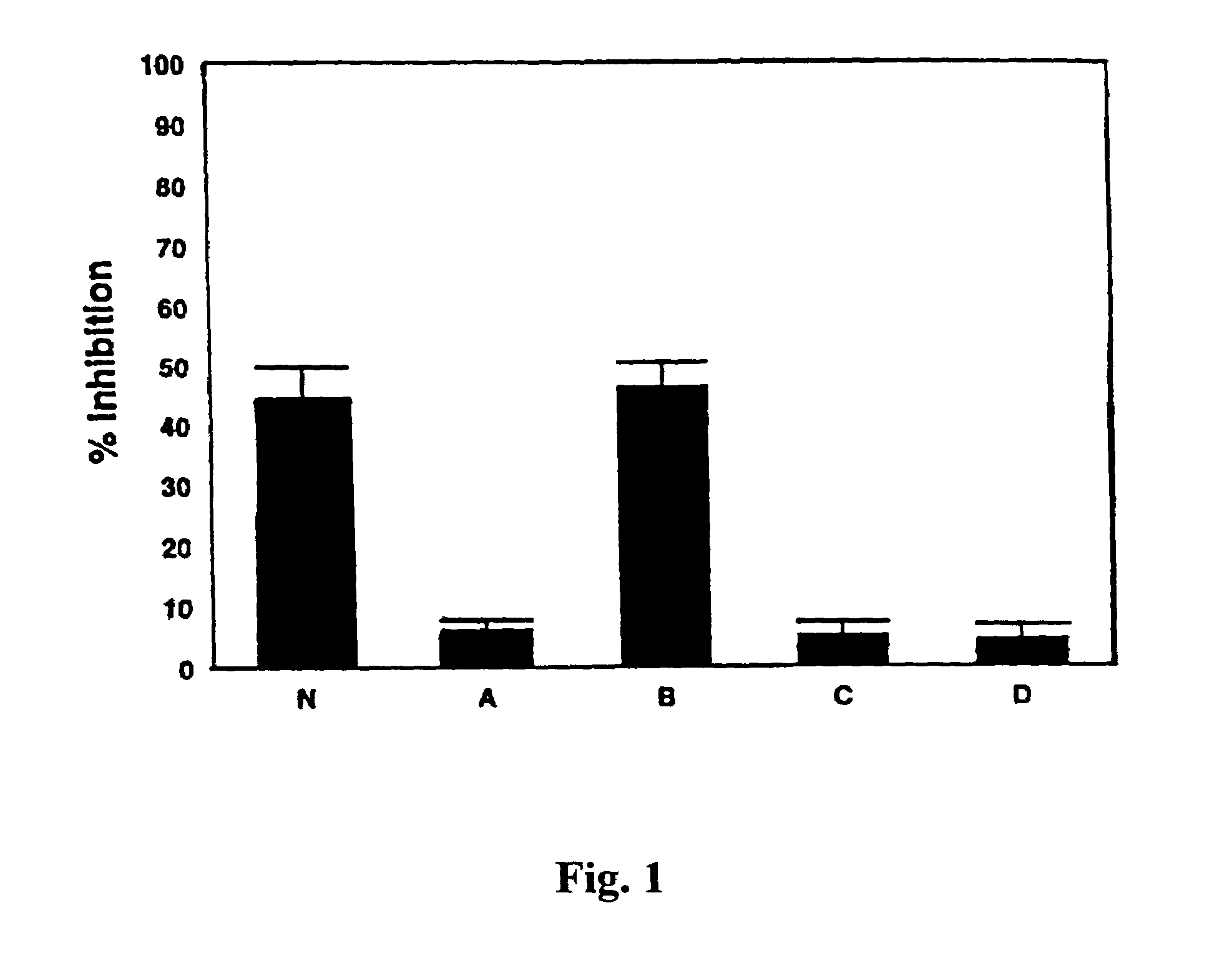 3' UTR of the human prohibitin gene