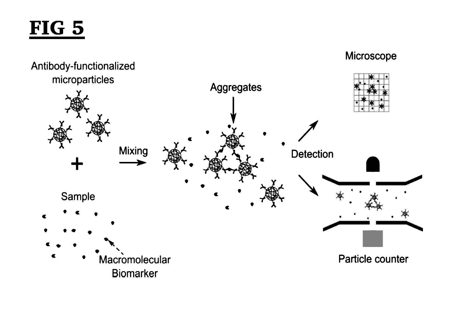 Biomarker assay using microparticle aggregation