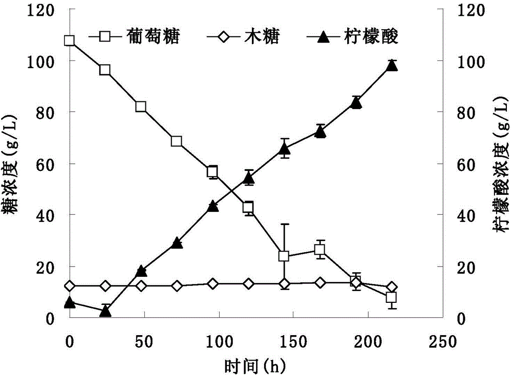 Method for producing citric acid by using lignocellulose raw material