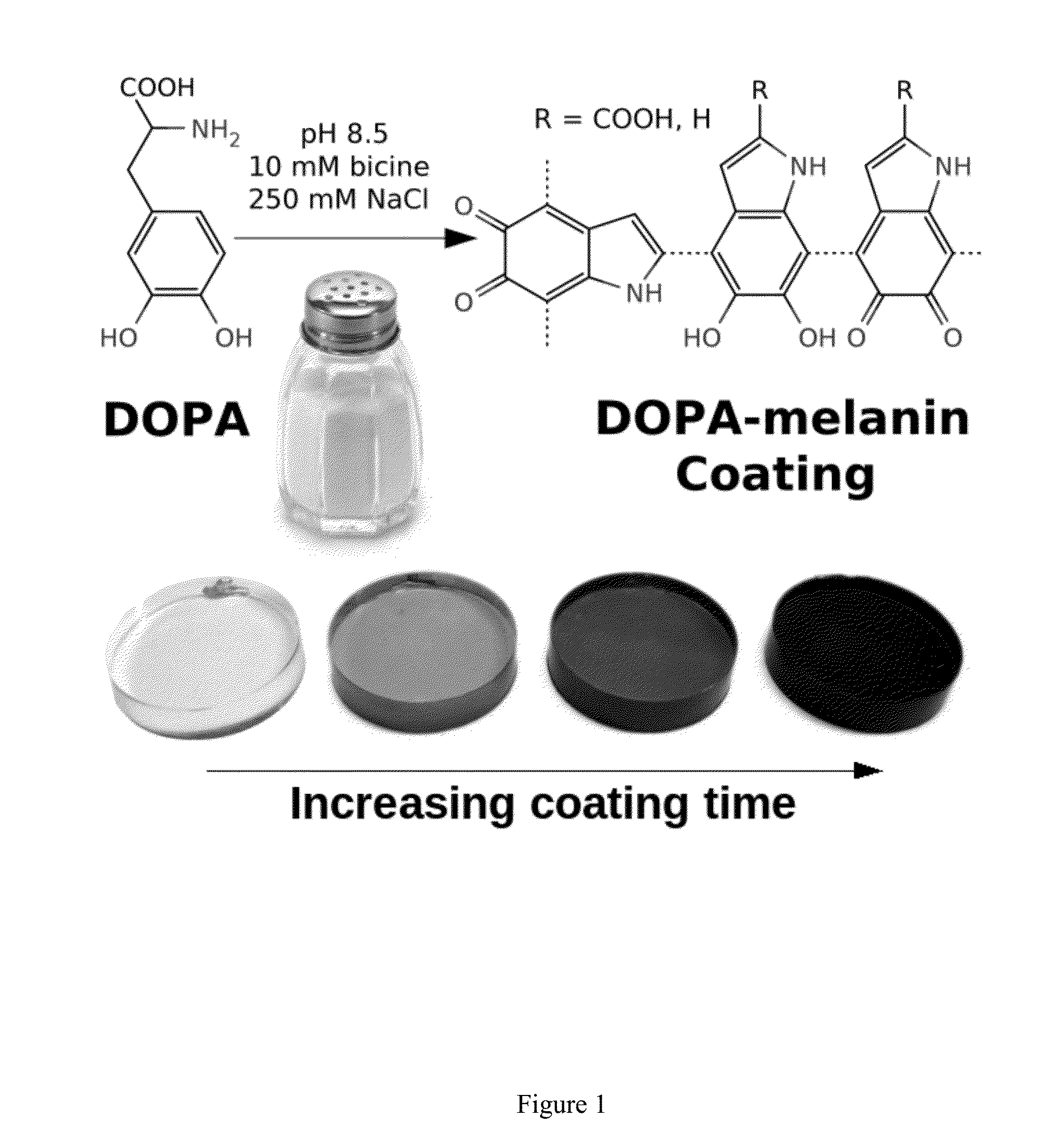 Dopa-melanin formation in high ionic strength solutions