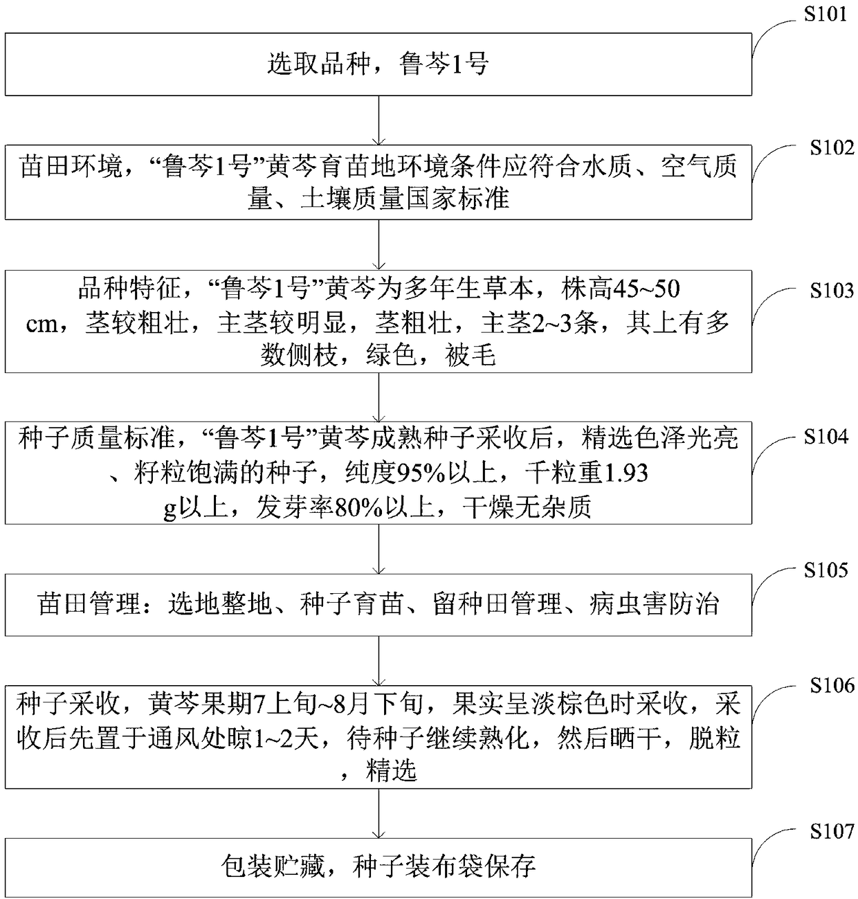 Stock breeding and cultivating method for scutellaria baicalensis