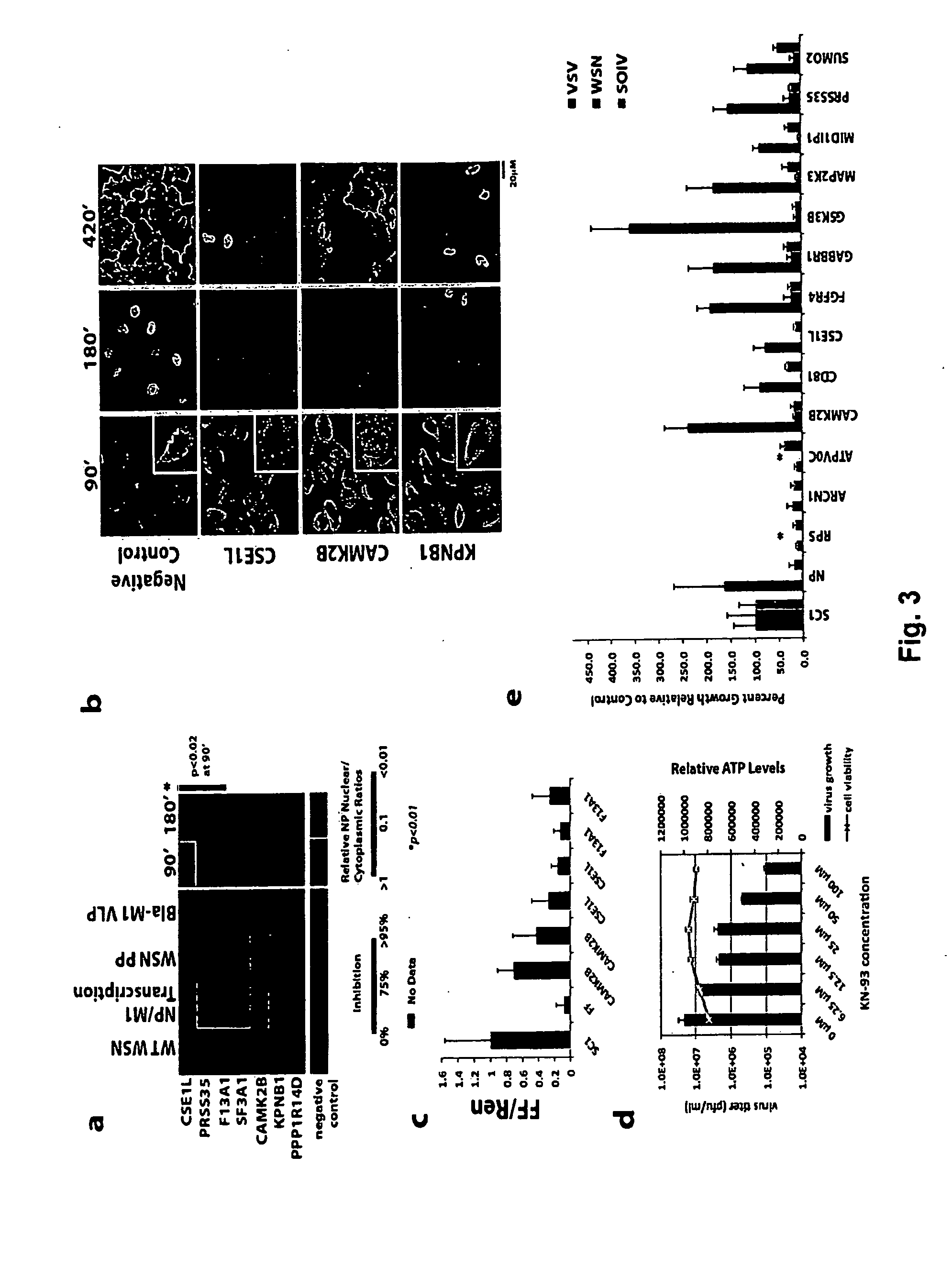 Compositions and Methods for Inhibiting Human Host Factors Required for Influenza Virus Replication