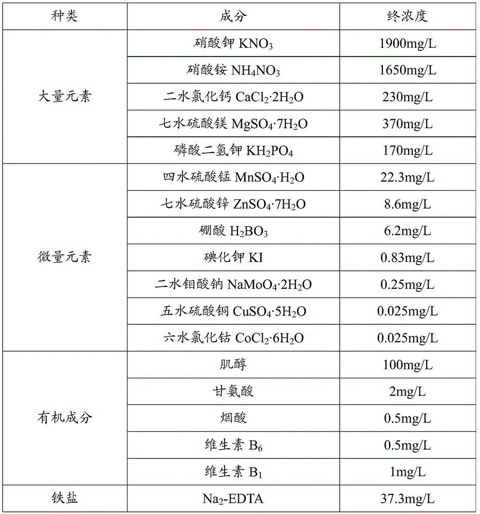 Cattleya primary induction medium and explant pretreatment method