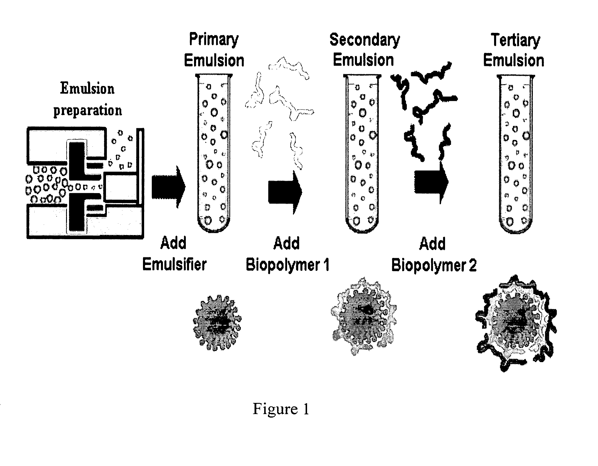 Biopolymer encapsulation and stabilization of lipid systems and methods for utilization thereof