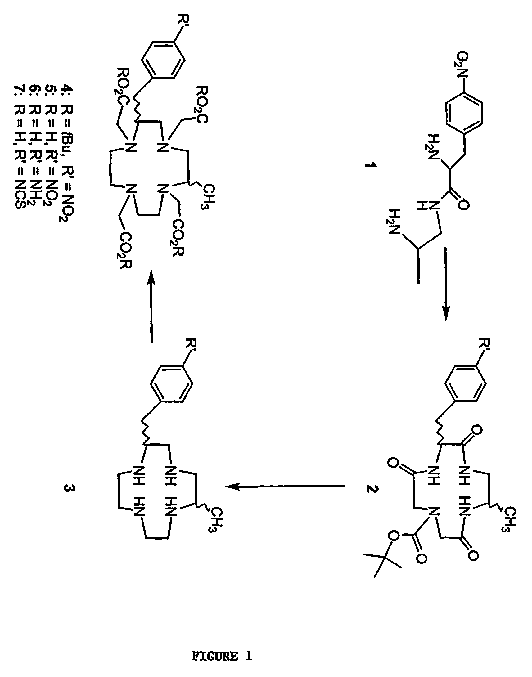 Backbone-substituted bifunctional DOTA ligands, complexes and compositions thereof, and methods of using same