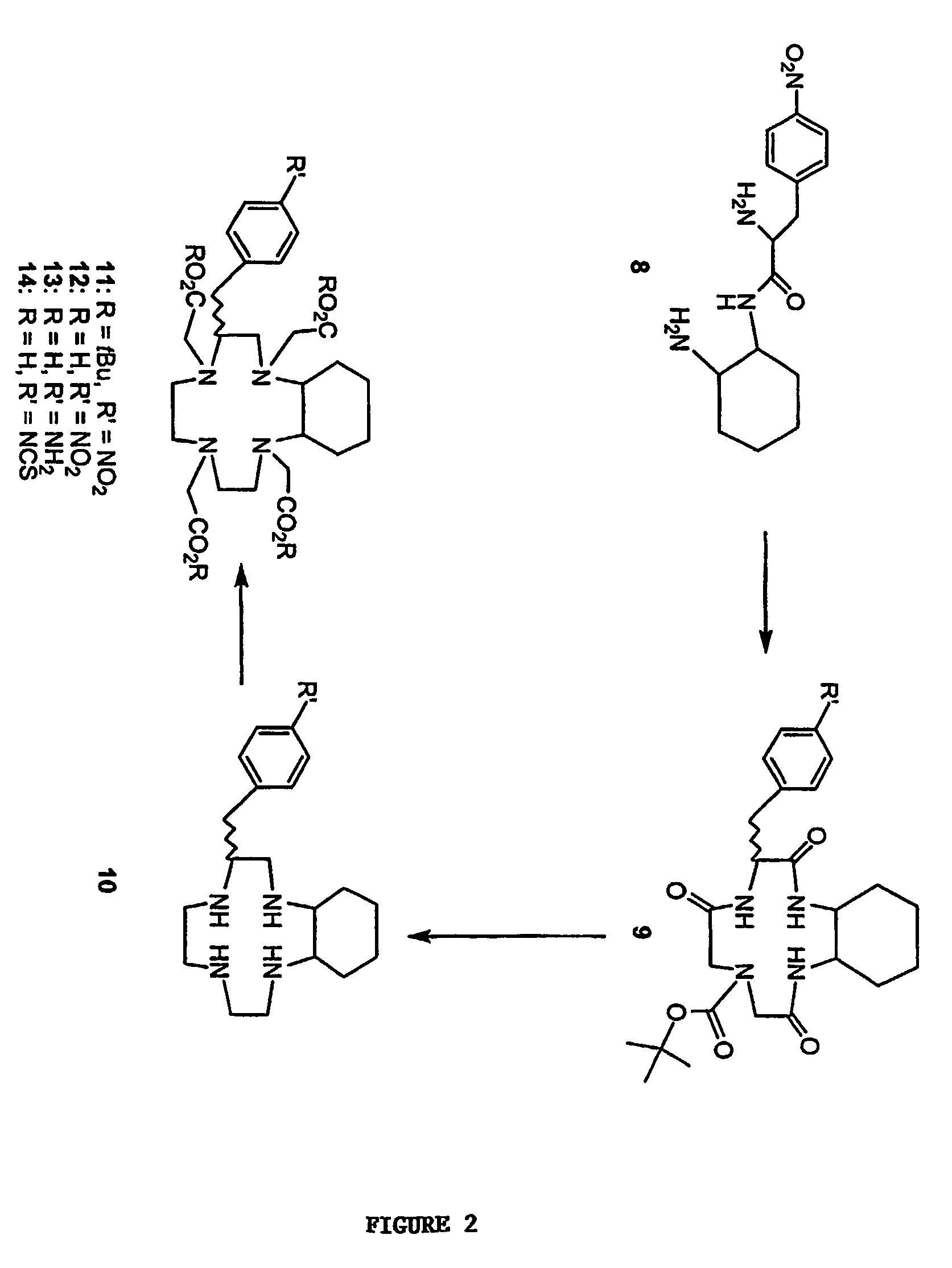 Backbone-substituted bifunctional DOTA ligands, complexes and compositions thereof, and methods of using same