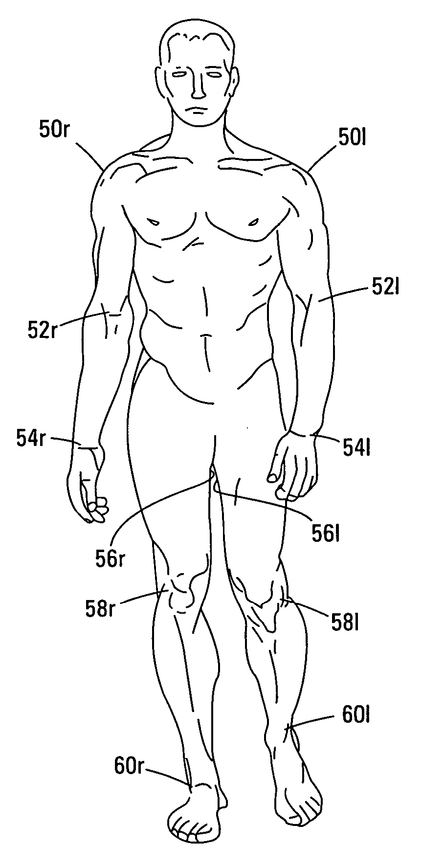 Method of passively loading an endoskeletal animal's body