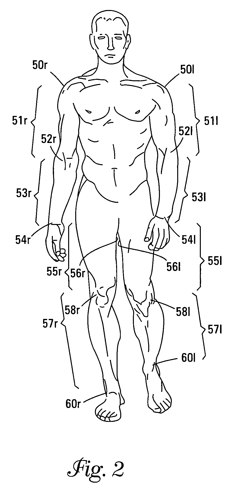 Method of passively loading an endoskeletal animal's body