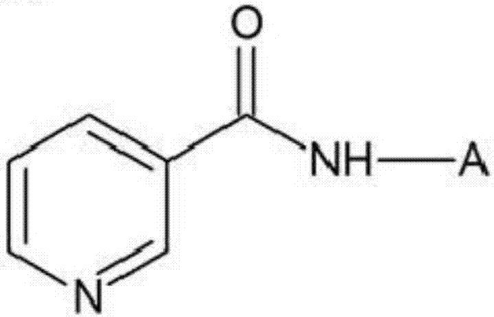 Cosmetic composition for containing nicotinoyl peptide and fermented natural extracts