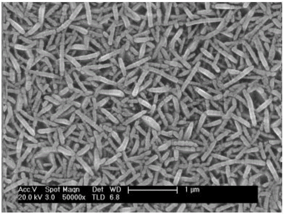Transparent super-hydrophobic nano-array and preparation method thereof