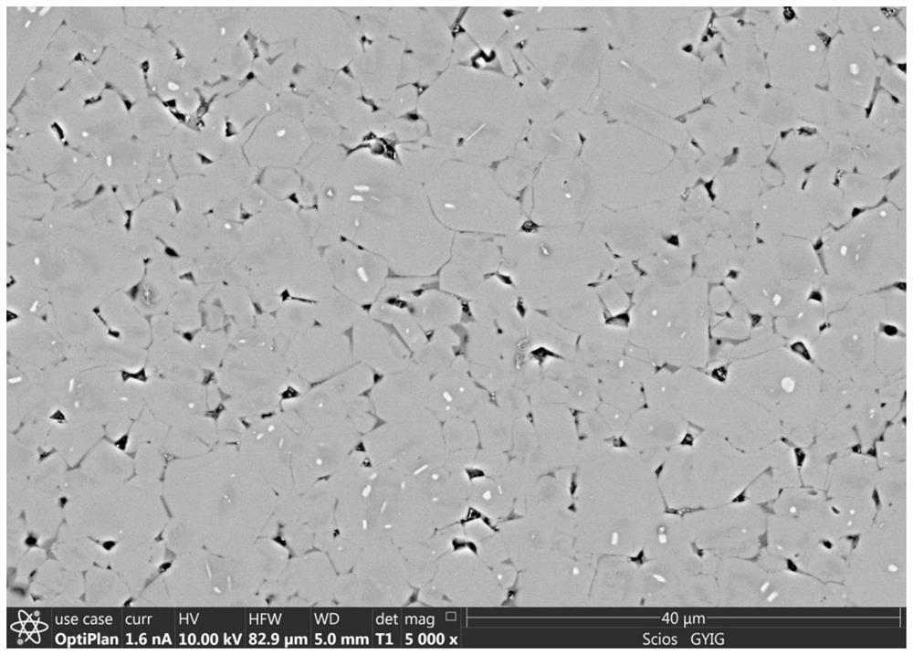 Method for synthesizing water-containing plagioclase solid solution at high temperature and high pressure