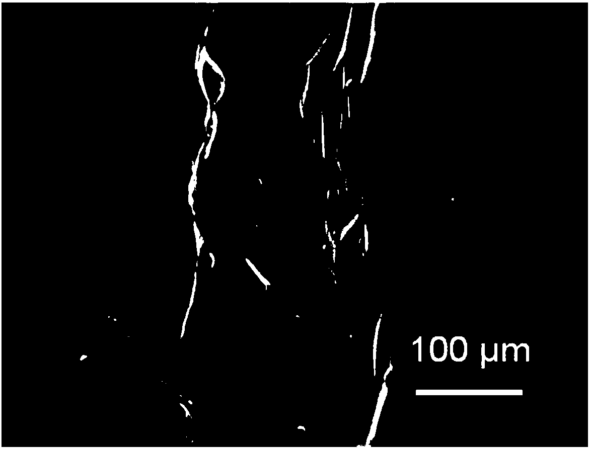 A kind of double capsule self-healing epoxy coating and preparation method thereof