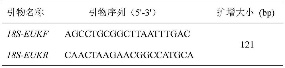 Molecular marker for identifying beef components and application thereof