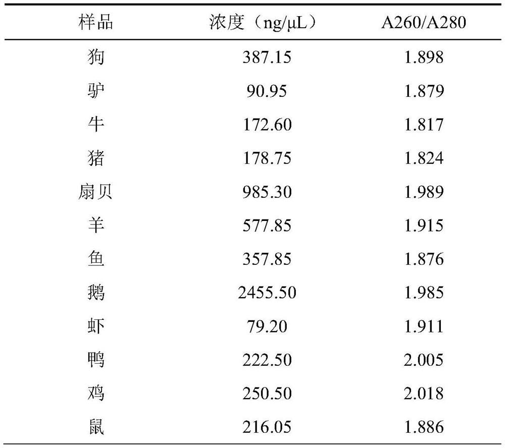 Molecular marker for identifying beef components and application thereof