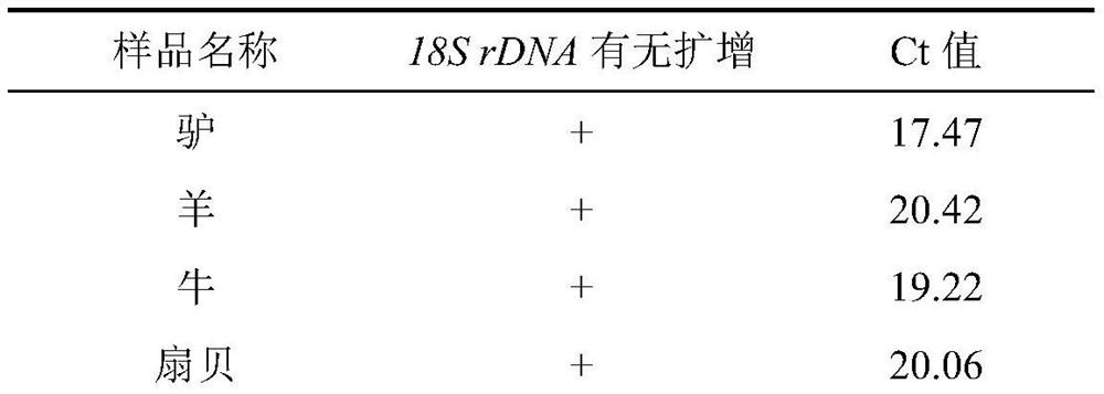 Molecular marker for identifying beef components and application thereof