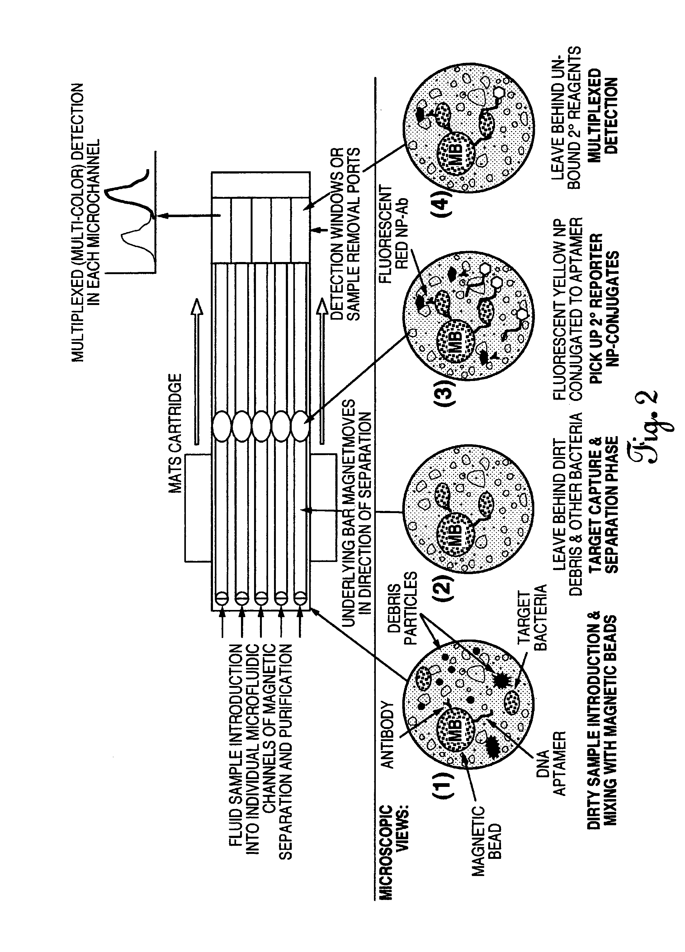 Magnetically-assisted test strip cartridge and method for using same