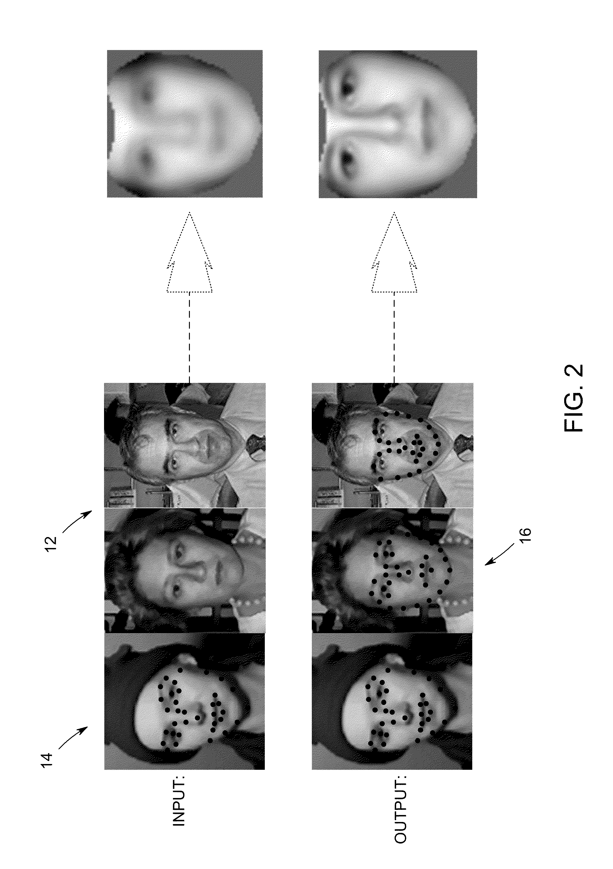 System and method for automatic landmark labeling with minimal supervision