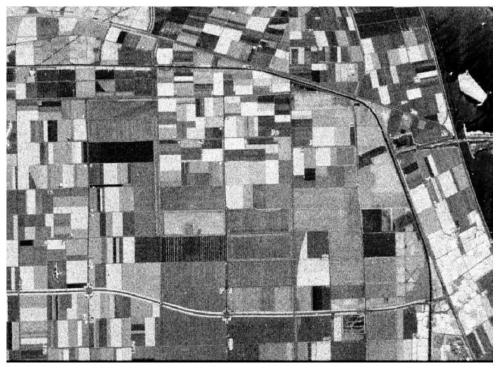 Polarized SAR classification method based on shallow features and t-matrix deep learning