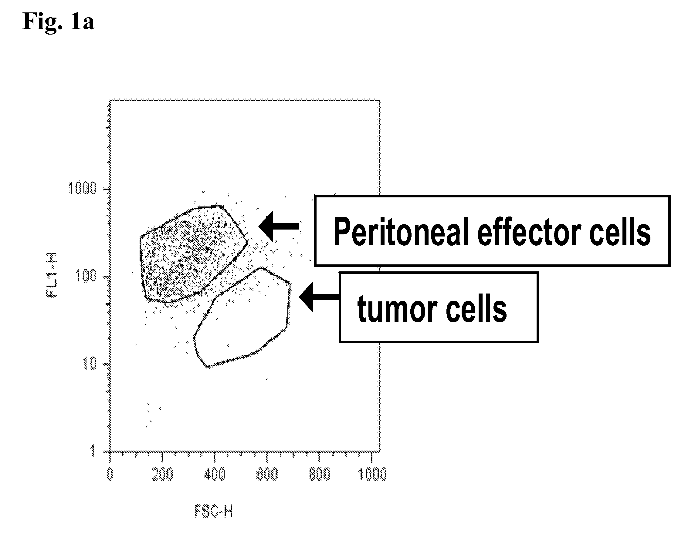 Combination therapy of an afucosylated antibody and one or more of the cytokines gm CSF, m CSF and/or il3