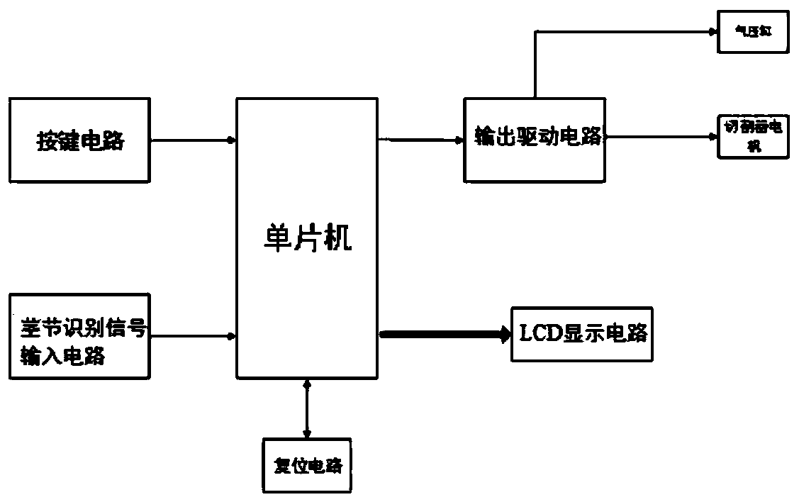 Sugarcane seed cutting production line and work method thereof
