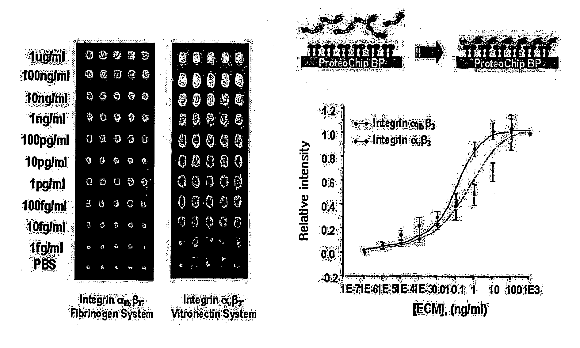 High-Throughput Screening Method for Intergrin Antagonist and New Peptide Screened Therefrom