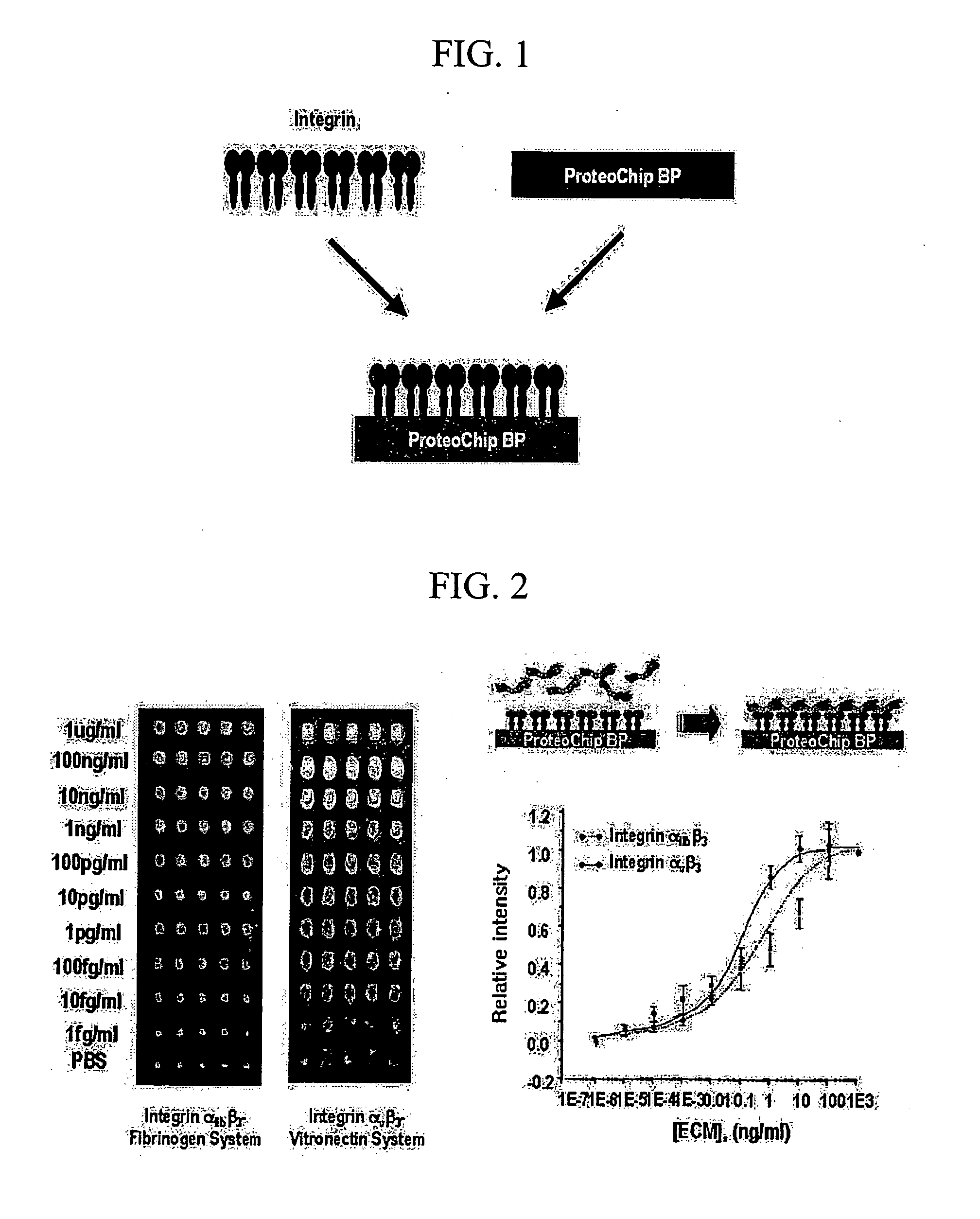 High-Throughput Screening Method for Intergrin Antagonist and New Peptide Screened Therefrom