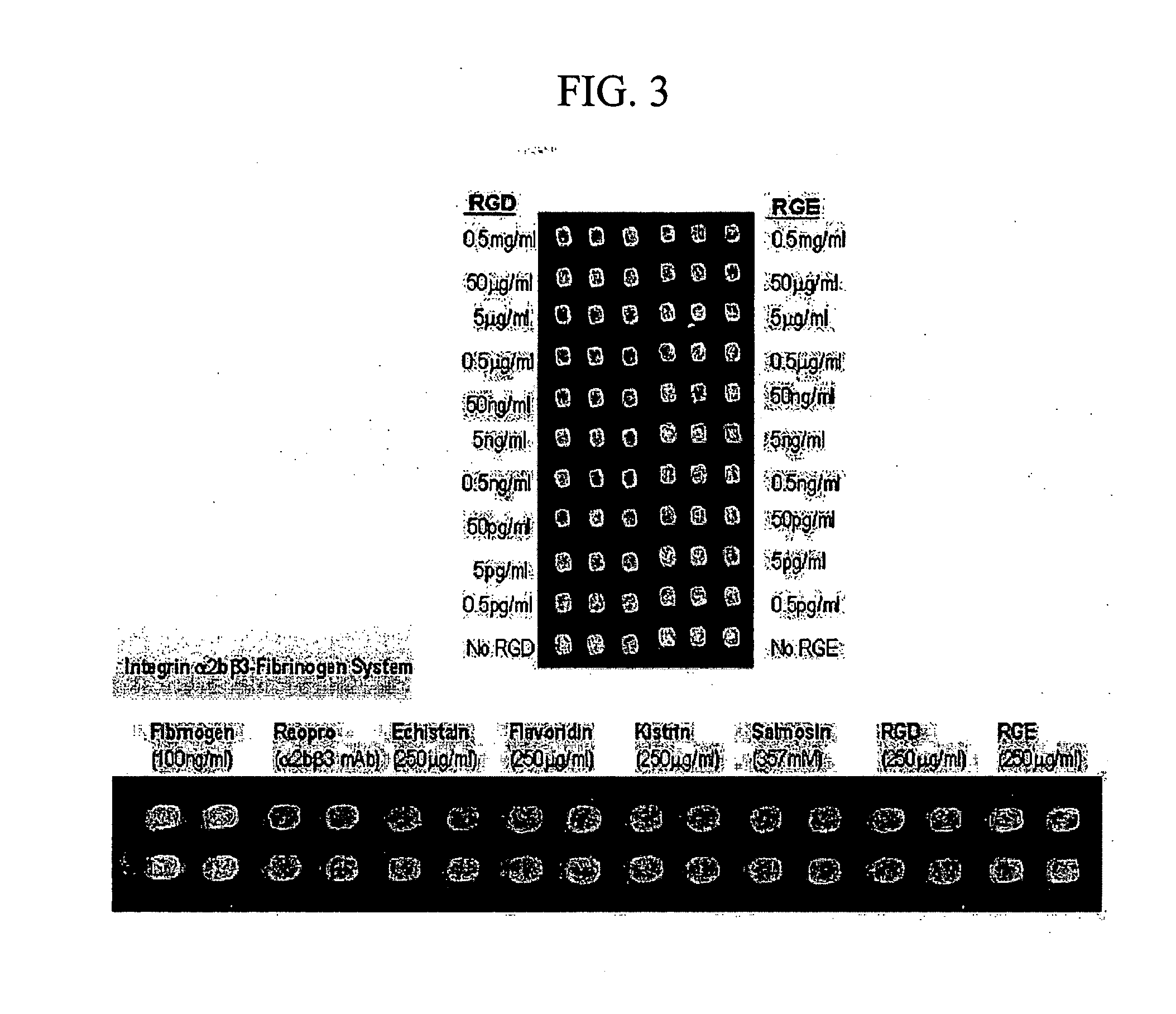 High-Throughput Screening Method for Intergrin Antagonist and New Peptide Screened Therefrom