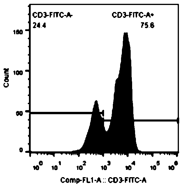 In-vitro amplification method of iNKT cells