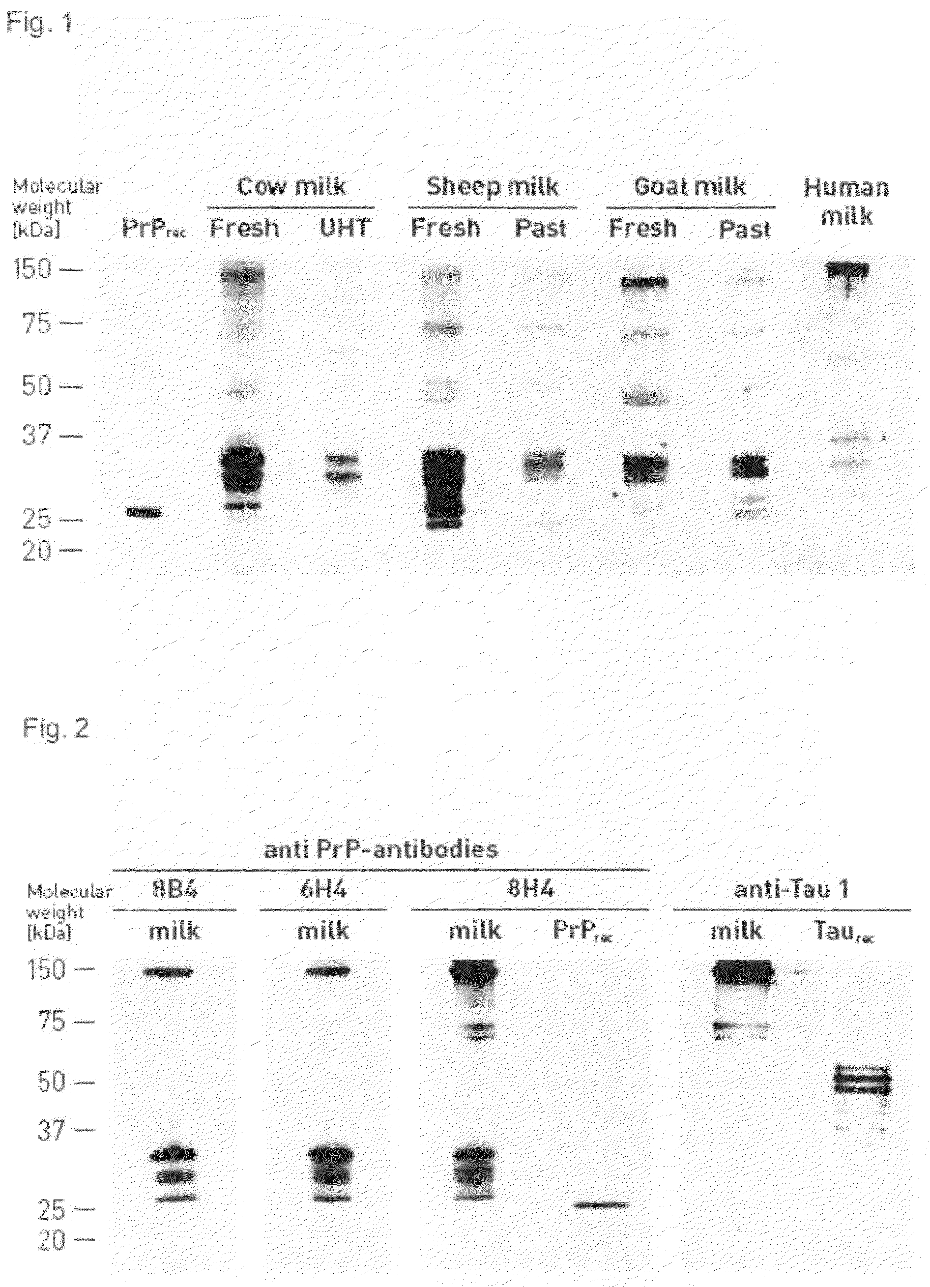 Identification of Prion Proteins in Milk