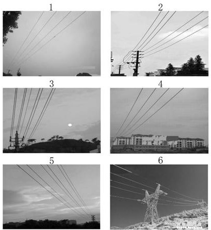 Image processing method of transmission line under complex background based on image classification