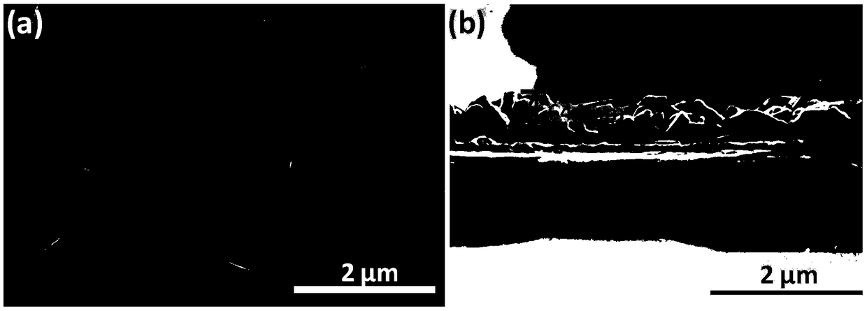 Enzyme-free glucose photoelectrochemical sensor, and detection method of enzyme-free glucose concentration