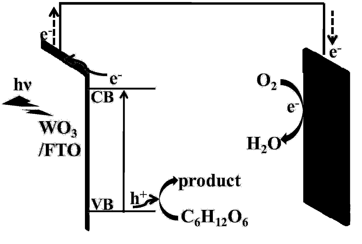 Enzyme-free glucose photoelectrochemical sensor, and detection method of enzyme-free glucose concentration