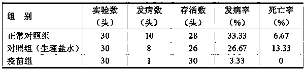 A kind of bovine morganismi arthritis inactivated vaccine and preparation method thereof