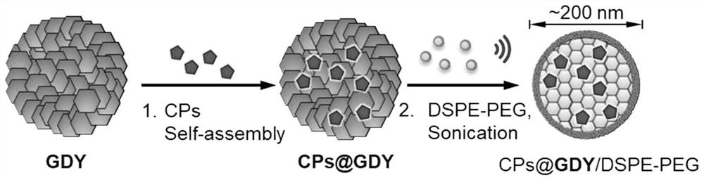 A kind of water-soluble conjugated polymer/graphyne nanoparticle and its preparation method and application