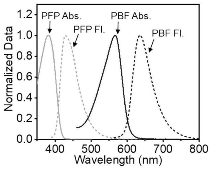 A kind of water-soluble conjugated polymer/graphyne nanoparticle and its preparation method and application