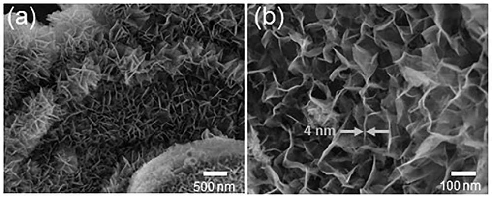 Co@N-C nanosheet with ultrathin hierarchical structure as well as preparation method and application thereof