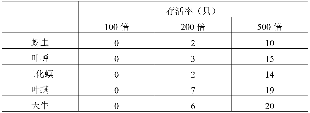 Method for trapping and killing insect pests by celastrus angulatus emulsion in water