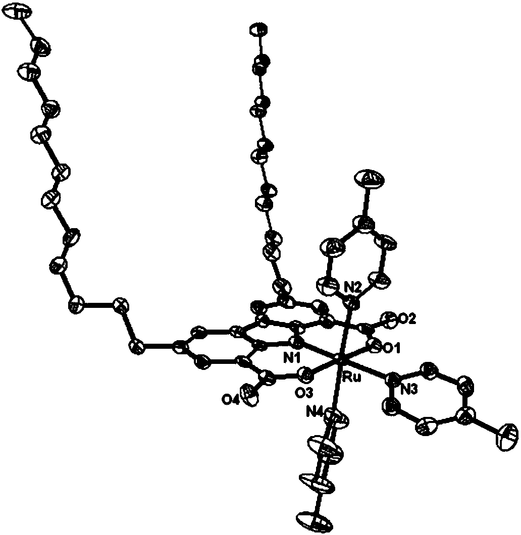 Ruthenium water oxidation catalyst based on electronegative ligand and preparation method thereof