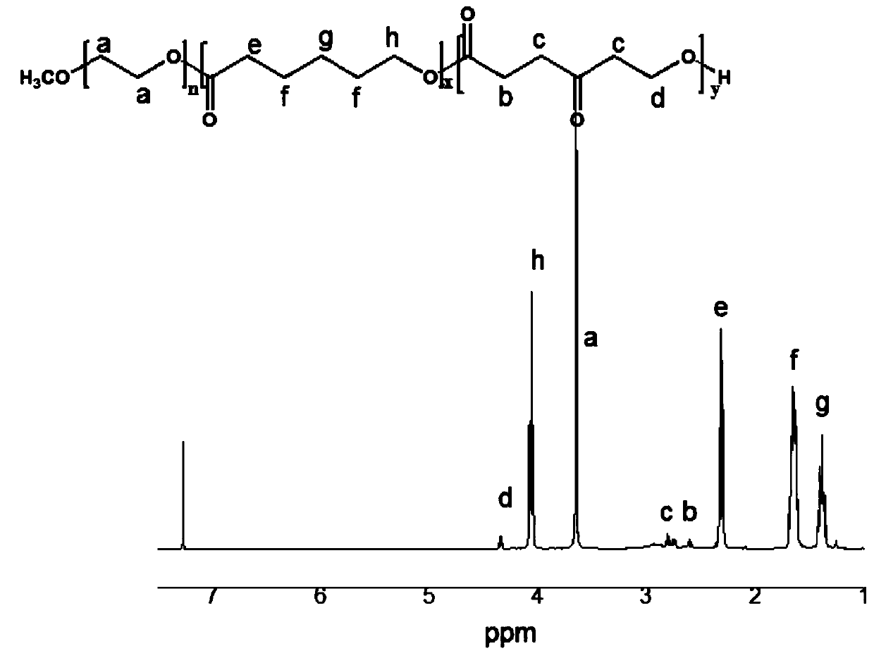 PDT (photodynamics therapy) prodrug based on carbonylated polycaprolactone as well as preparation method and application of PDT prodrug