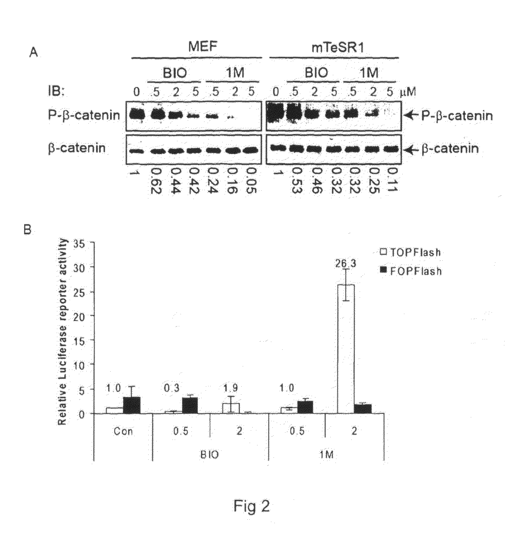 Composition and method for differentiation of human embryonic stem cells
