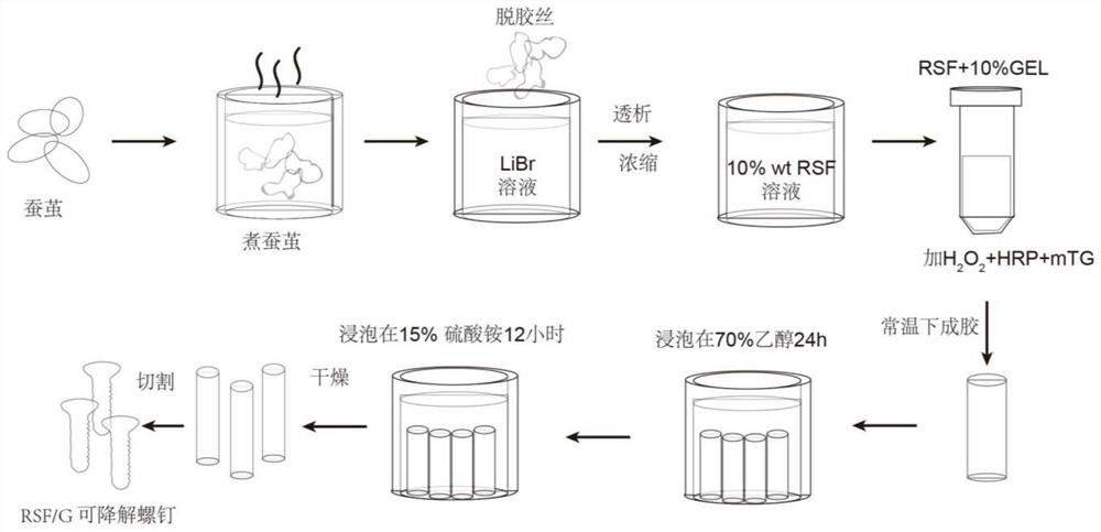 A kind of silk protein/gelatin composite material and its application
