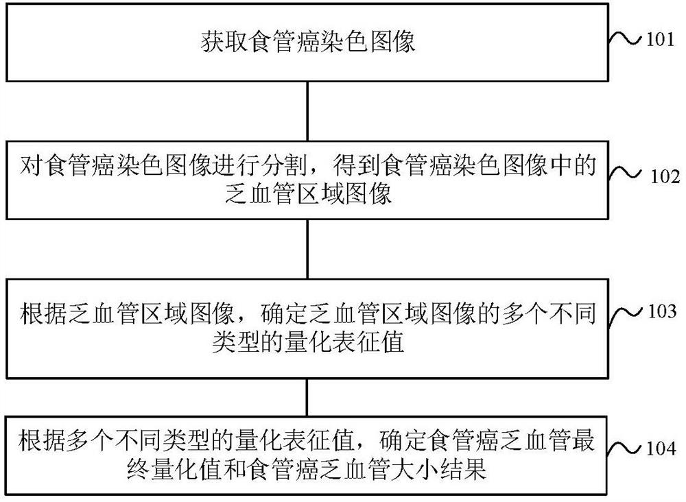 Method and system for determining size of esophageal cancer hypovascular region