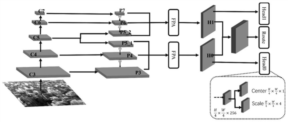 Double-branch Anchor Free face detection method and system based on convolutional neural network