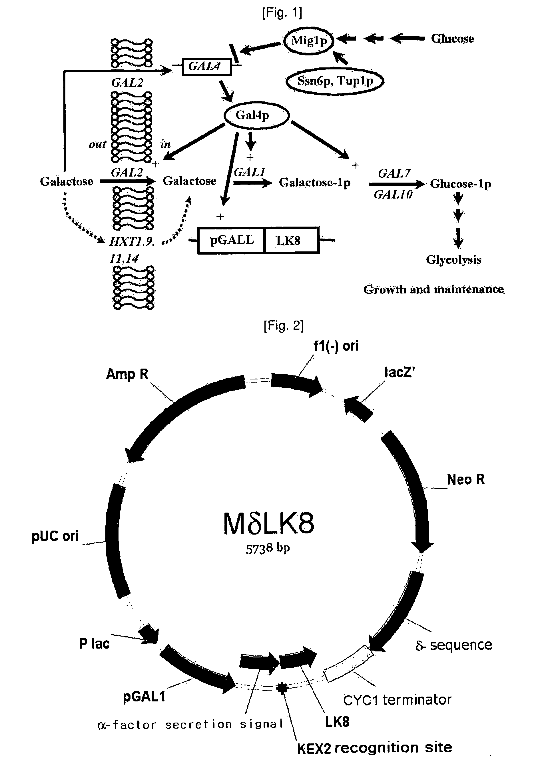 Methods For Enhancing A Secretion Efficiency Of Recombinant Foreign Protein In Yeast Expression System