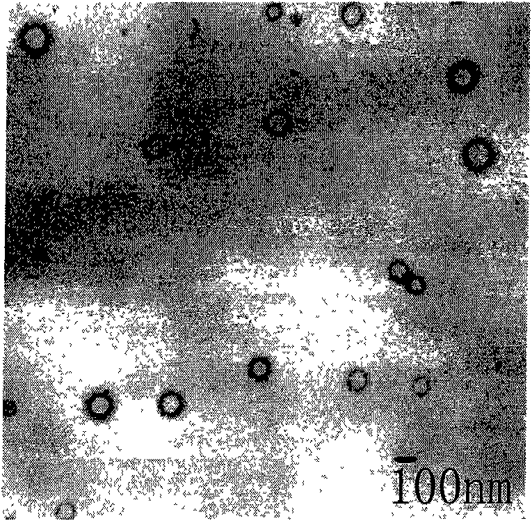 Hyperbranched polymer and preparation method and application thereof