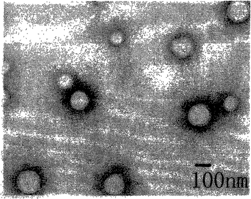 Hyperbranched polymer and preparation method and application thereof