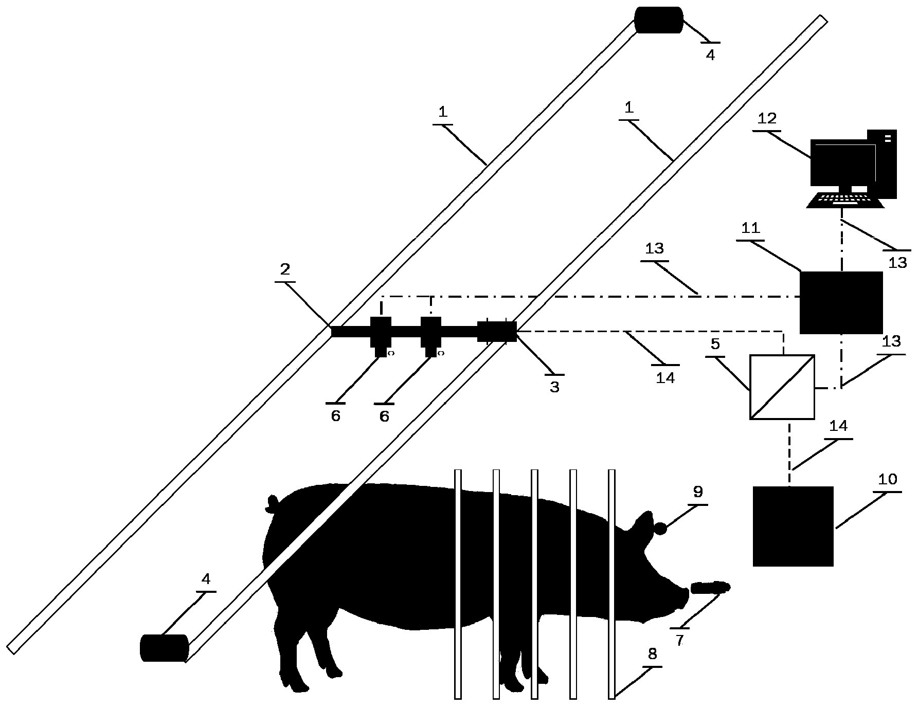 Mobile system for monitoring body sizes and weights of pigs in multiple pigsties
