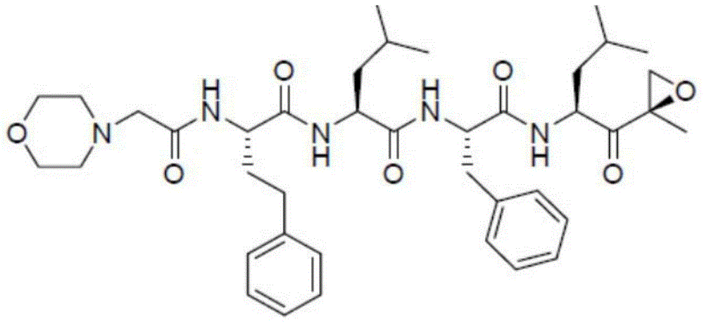 Liposome lyophilized composition of carfilzomib drug and preparation method thereof