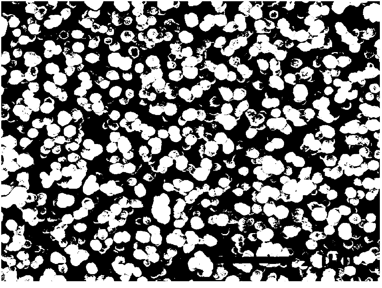 Preparation method of strontium-titanate hollow nanorod array